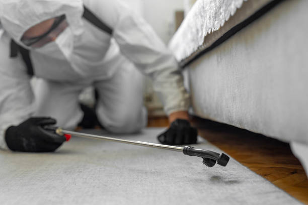 Professional Cockroach Control technician working in Allouez, WI