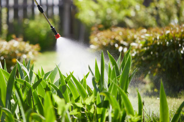24/7 Emergency Cockroach Control experts in Allouez, WI